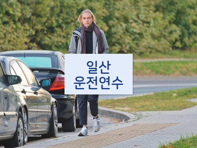 일산운전연수 후기