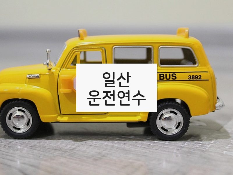 일산운전연수 후기