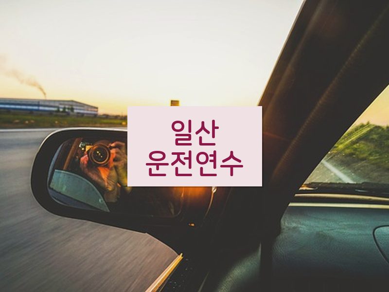 일산운전연수 후기