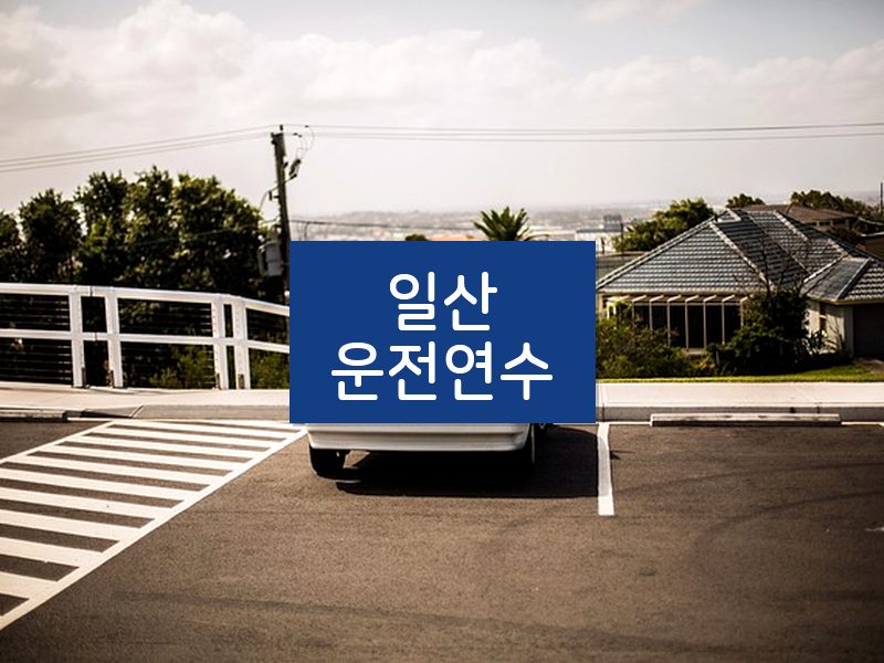 일산운전연수 후기