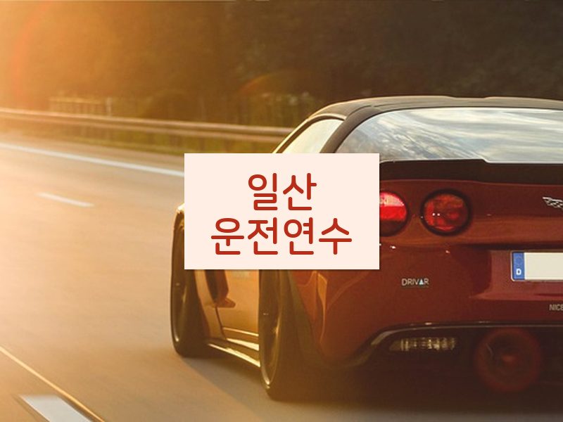 일산운전연수 후기