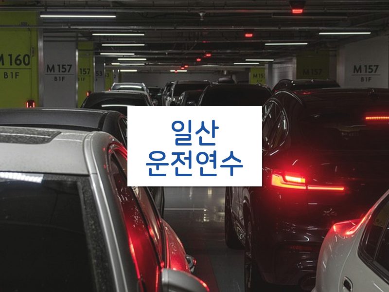 일산운전연수 후기