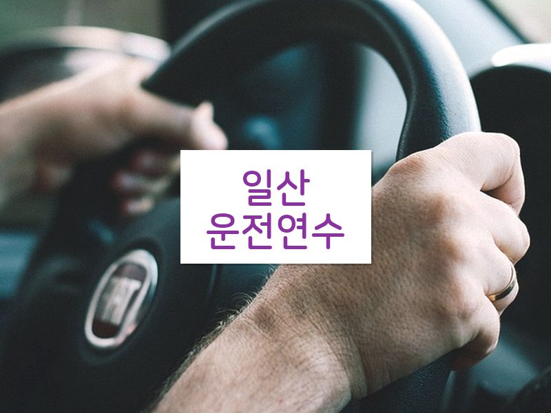 일산운전연수 후기