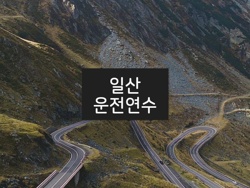 일산운전연수 후기