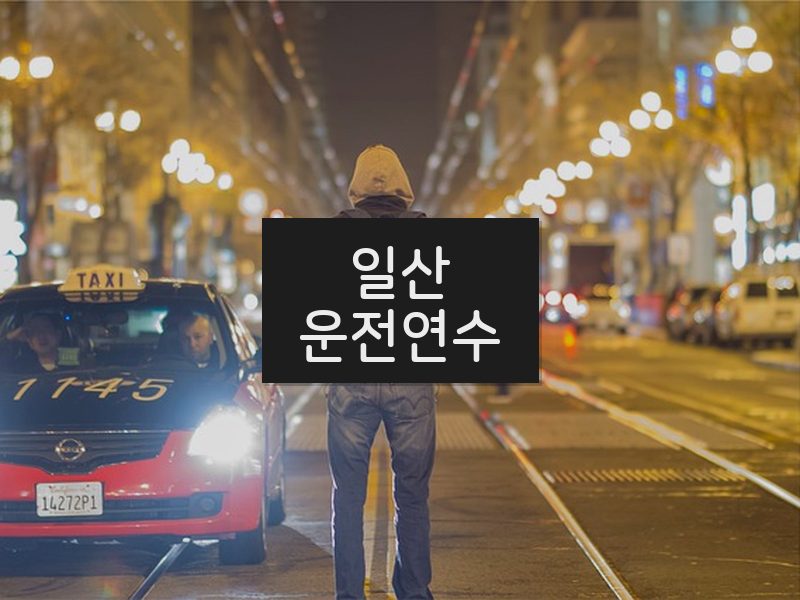 일산운전연수 후기