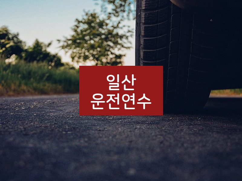 일산운전연수 후기