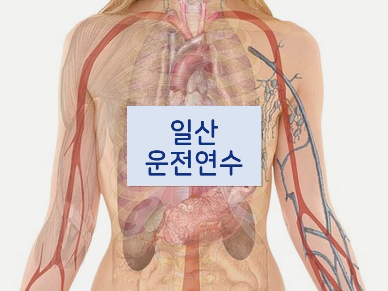 일산운전연수 후기
