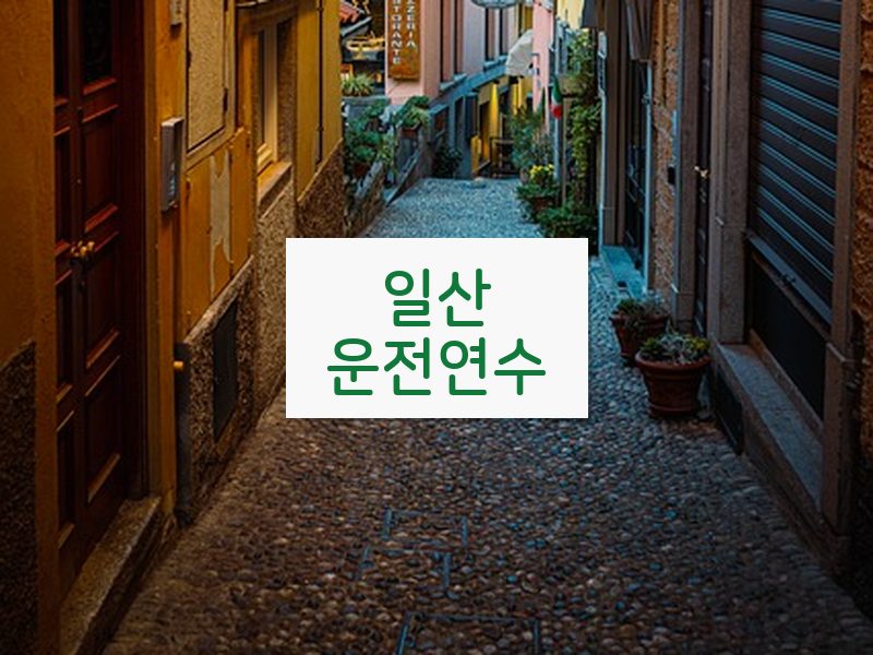 일산운전연수 후기