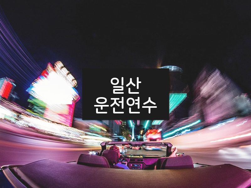 일산운전연수 후기