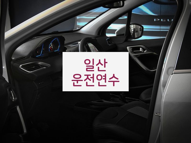 일산운전연수 후기