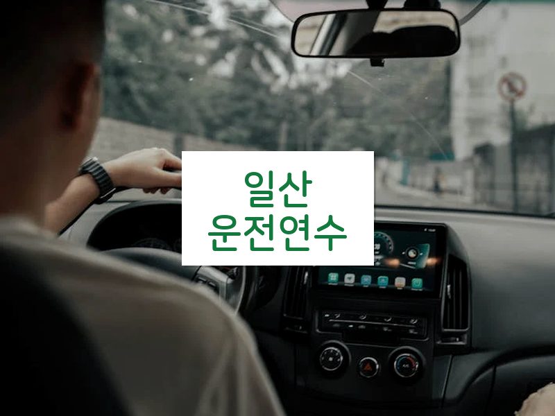 일산운전연수 후기