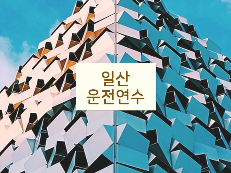 일산운전연수 후기