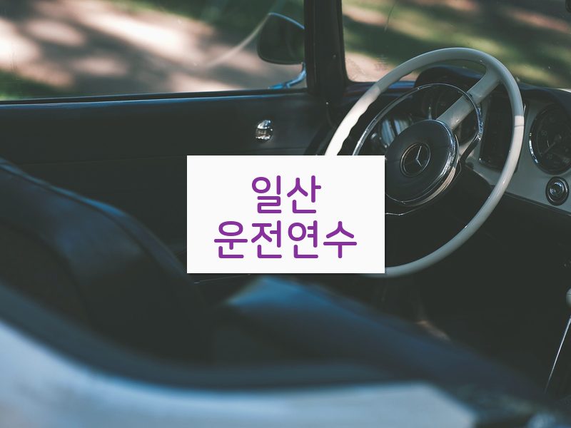 일산운전연수 후기