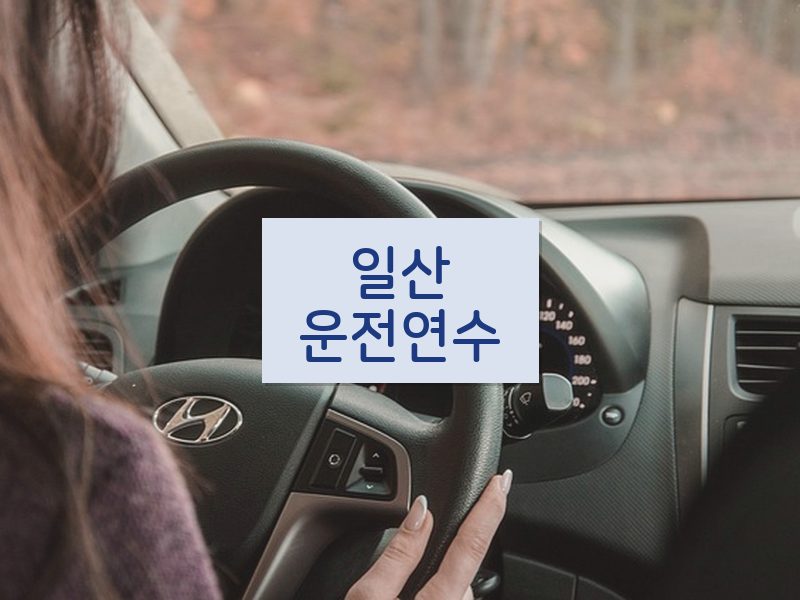 일산운전연수 후기