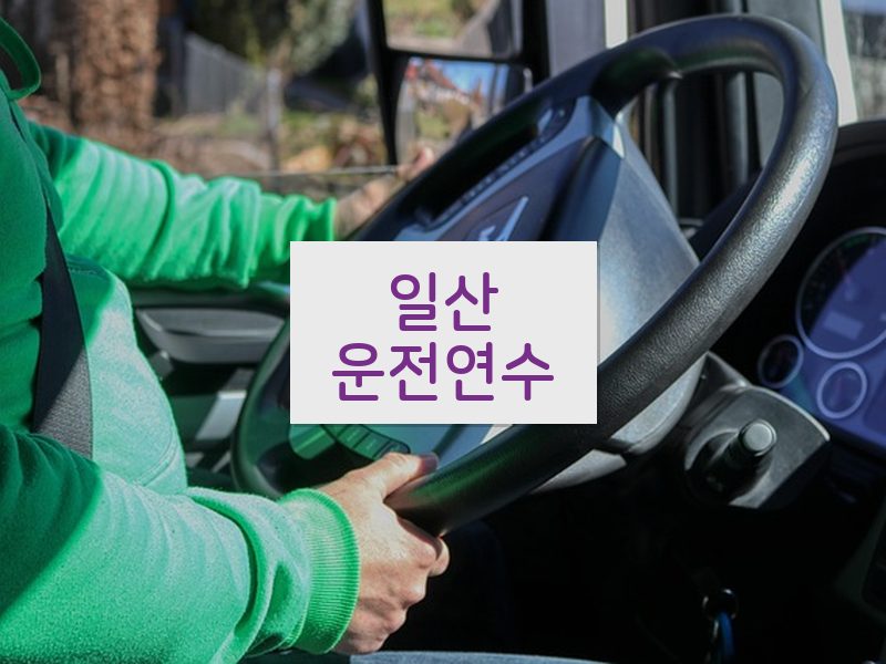일산운전연수 후기