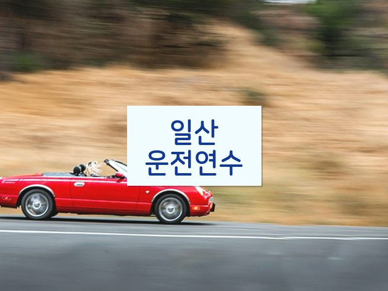 일산운전연수 후기