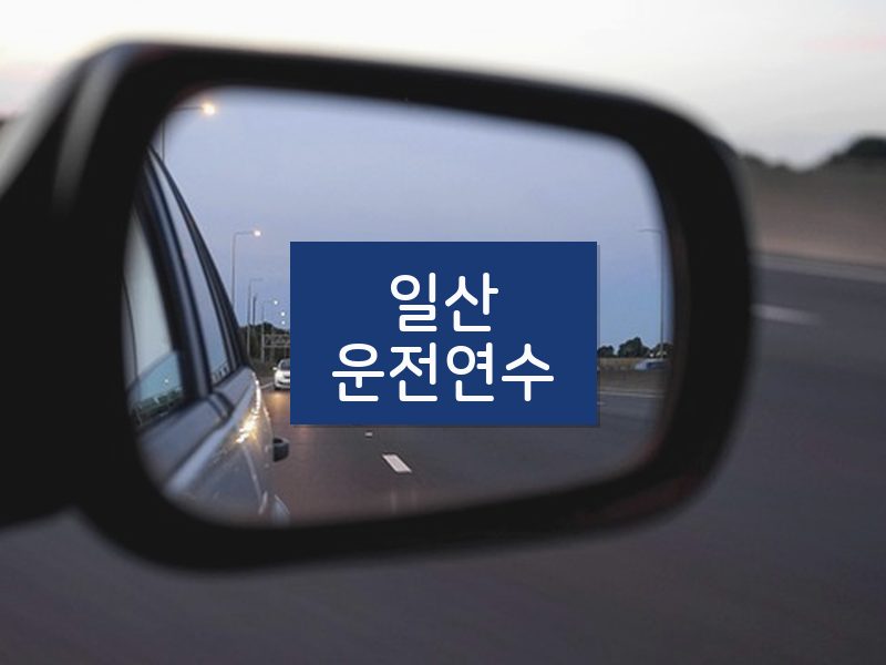 일산운전연수 후기
