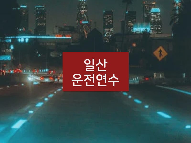 일산운전연수 후기