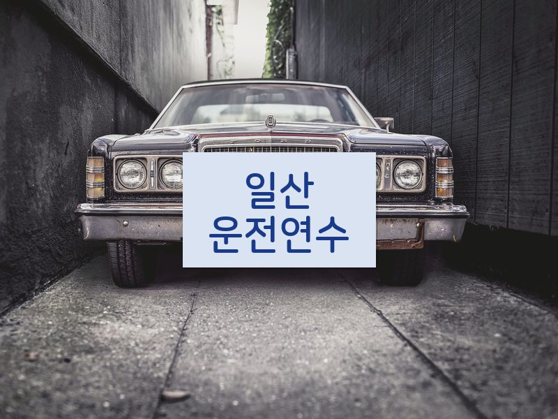 일산운전연수 후기