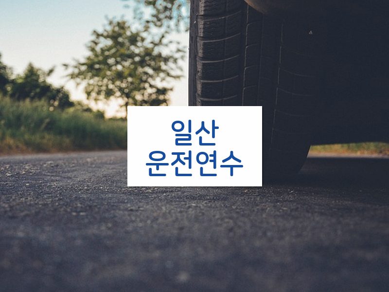 일산운전연수 후기