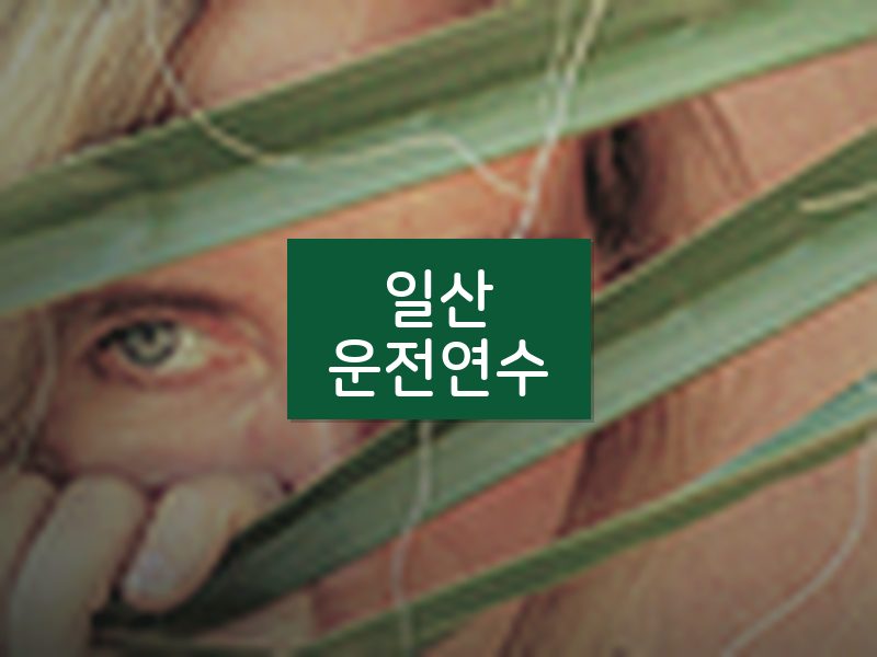일산운전연수 후기