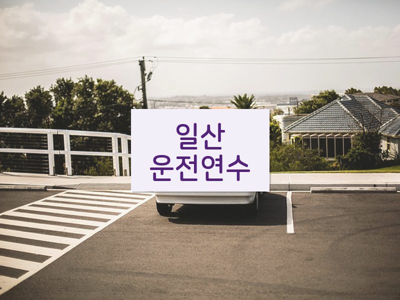 일산운전연수 후기