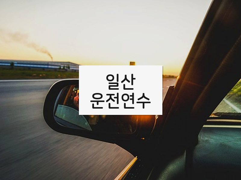 일산운전연수 후기