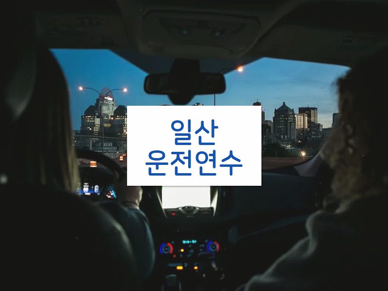 일산운전연수 후기