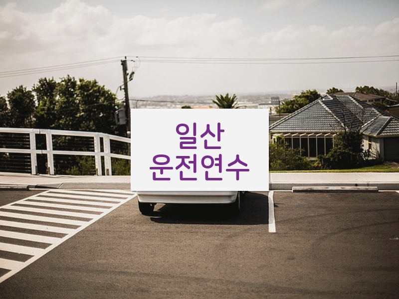 일산운전연수 후기