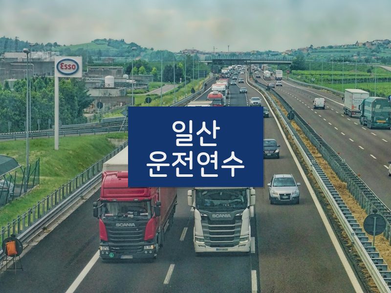 일산운전연수 후기