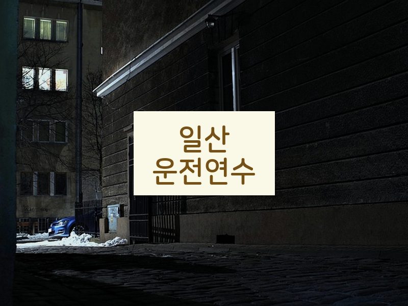 일산운전연수 후기