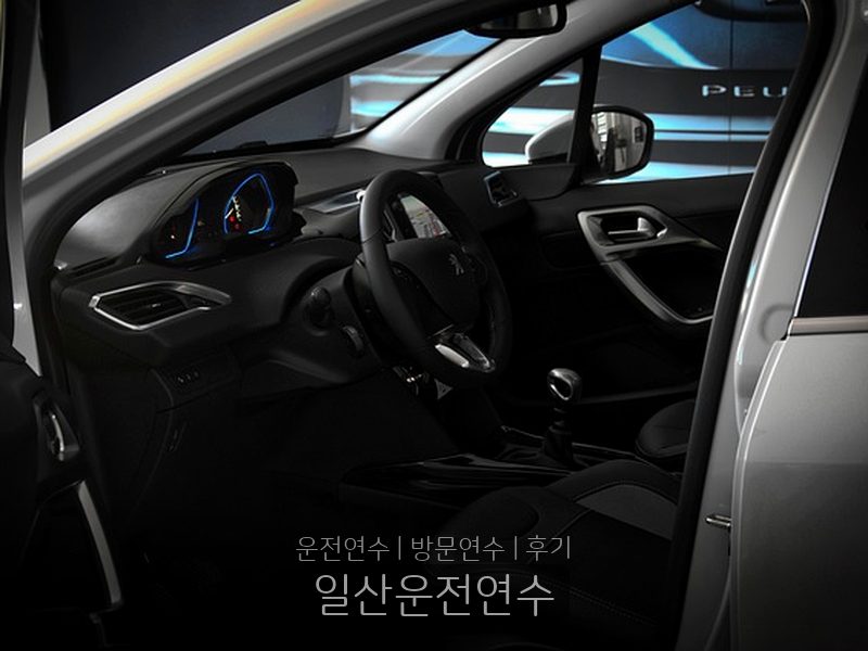 일산운전연수 후기