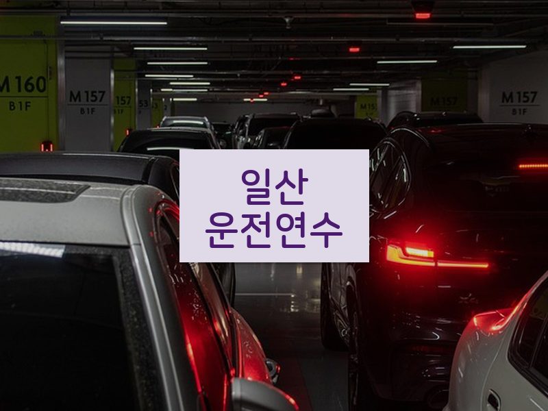 일산운전연수 후기
