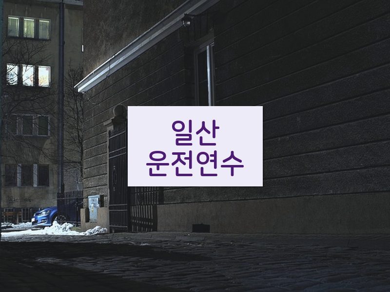 일산운전연수 후기
