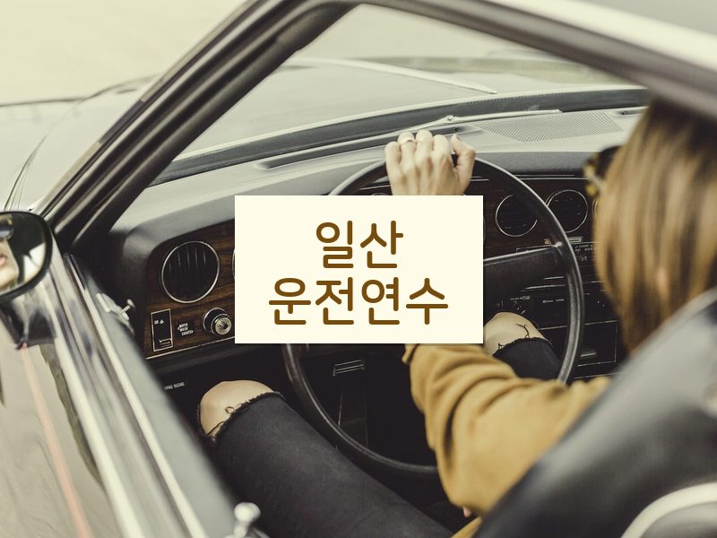 일산운전연수 후기