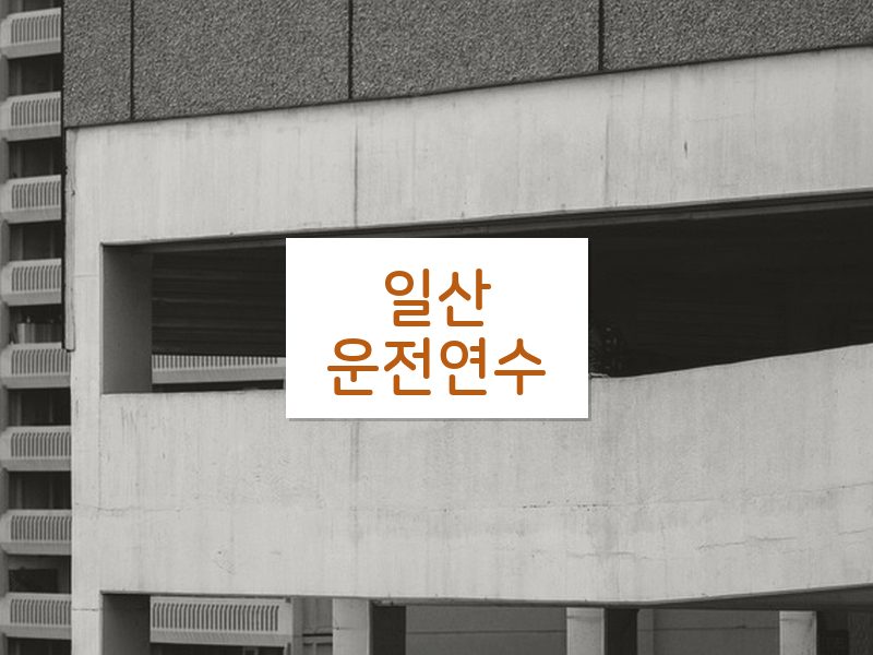 일산운전연수 후기