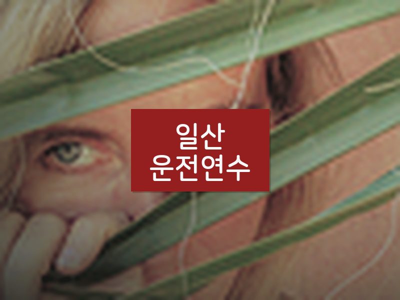 일산운전연수 후기