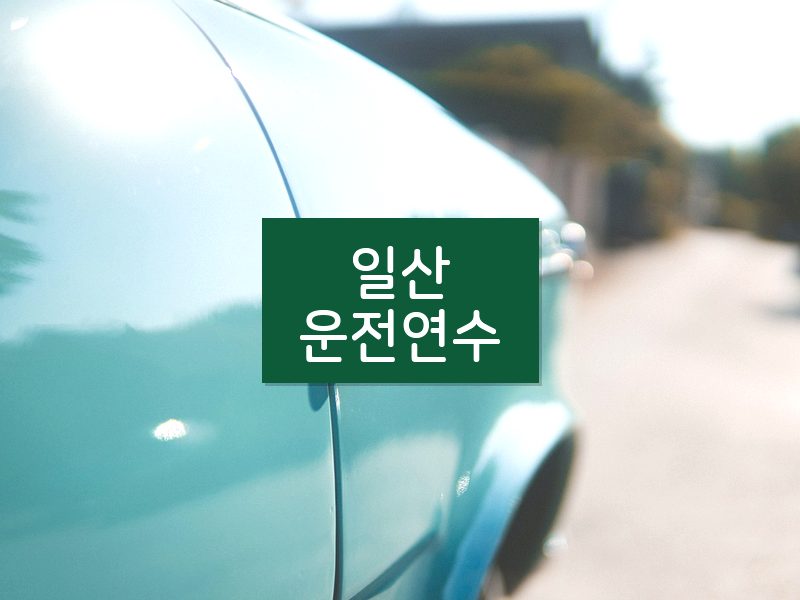 일산운전연수 후기