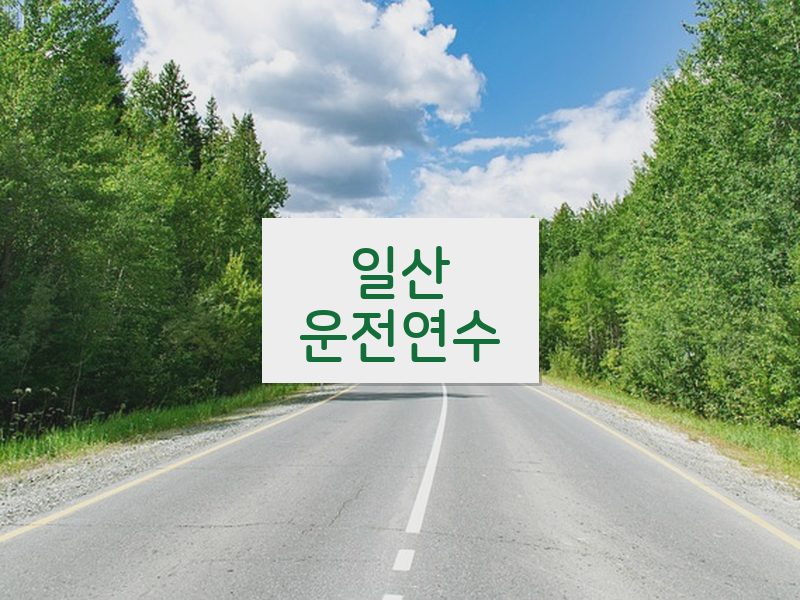일산운전연수 후기
