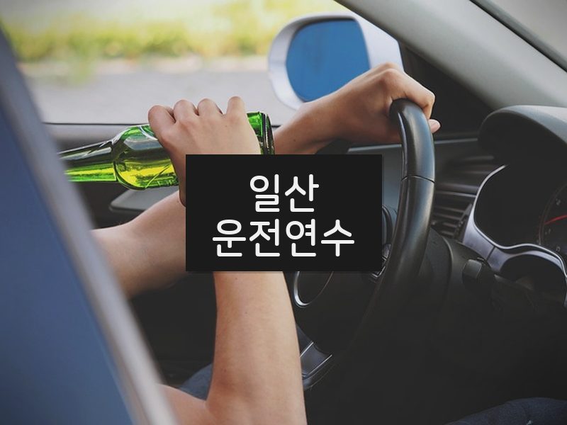 일산운전연수 후기