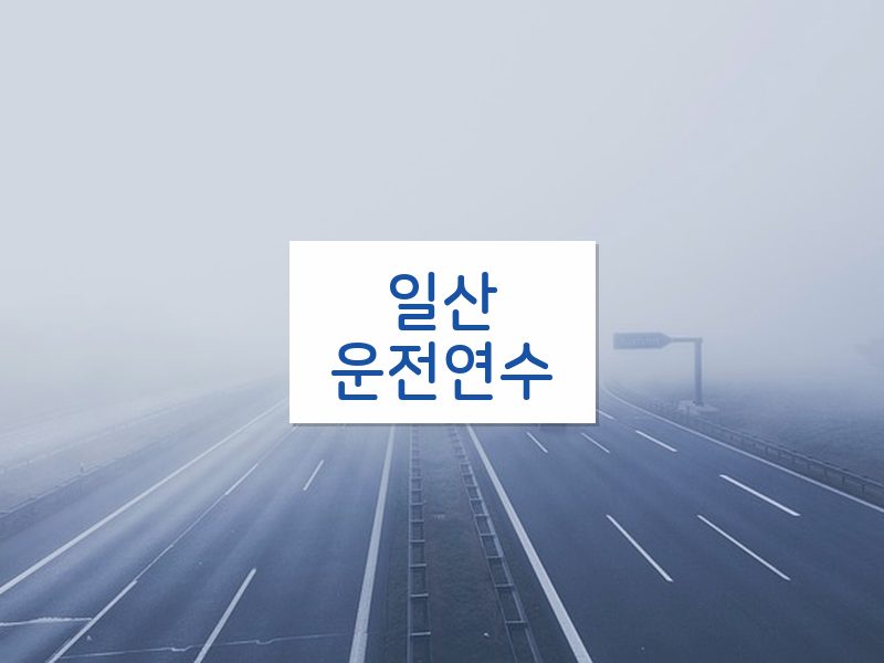 일산운전연수 후기