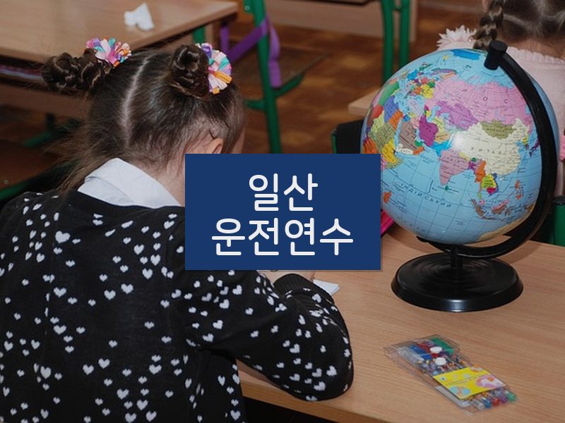 일산운전연수 후기