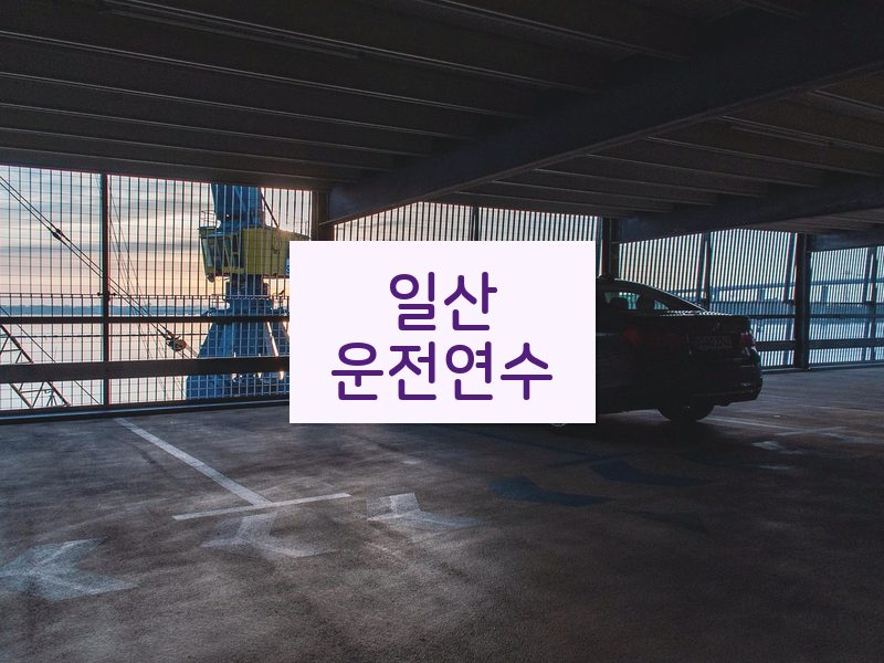 일산운전연수 후기