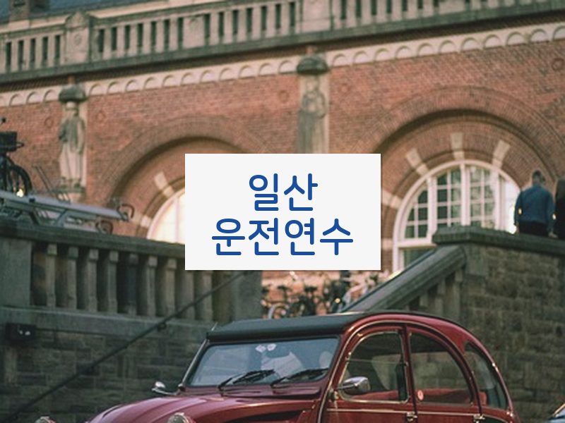 일산운전연수 후기