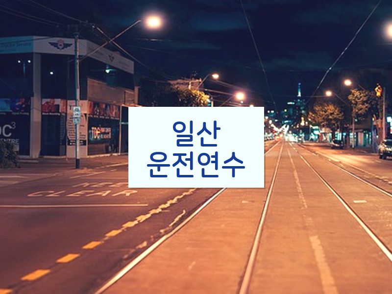 일산운전연수 후기