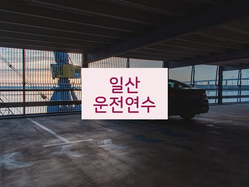 일산운전연수 후기
