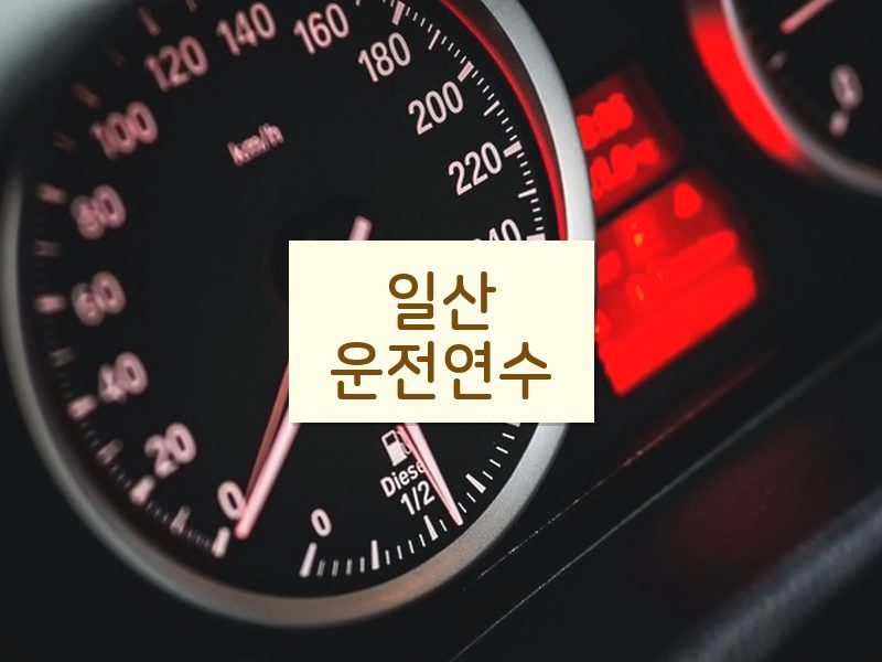 일산운전연수 후기