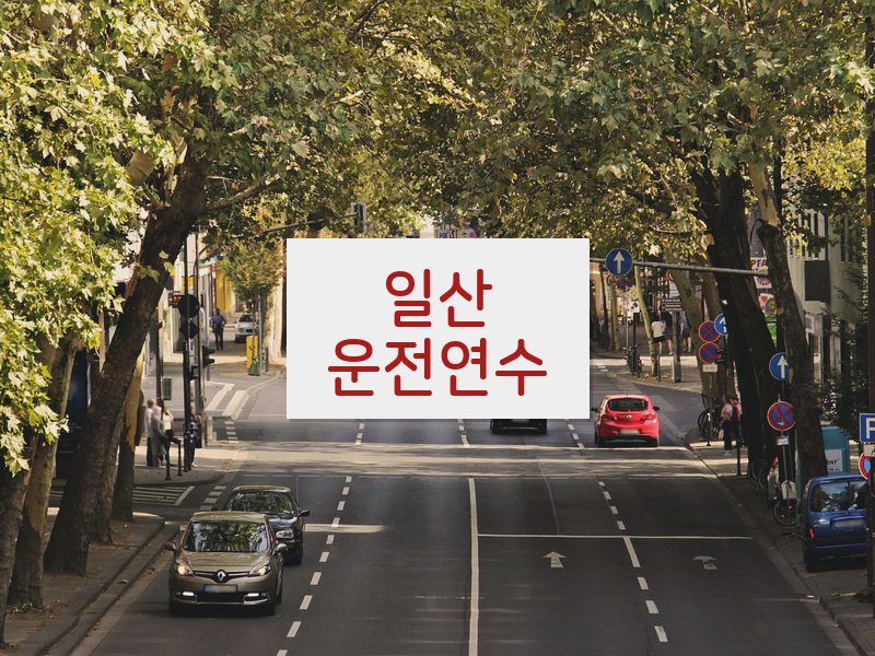 일산운전연수 후기