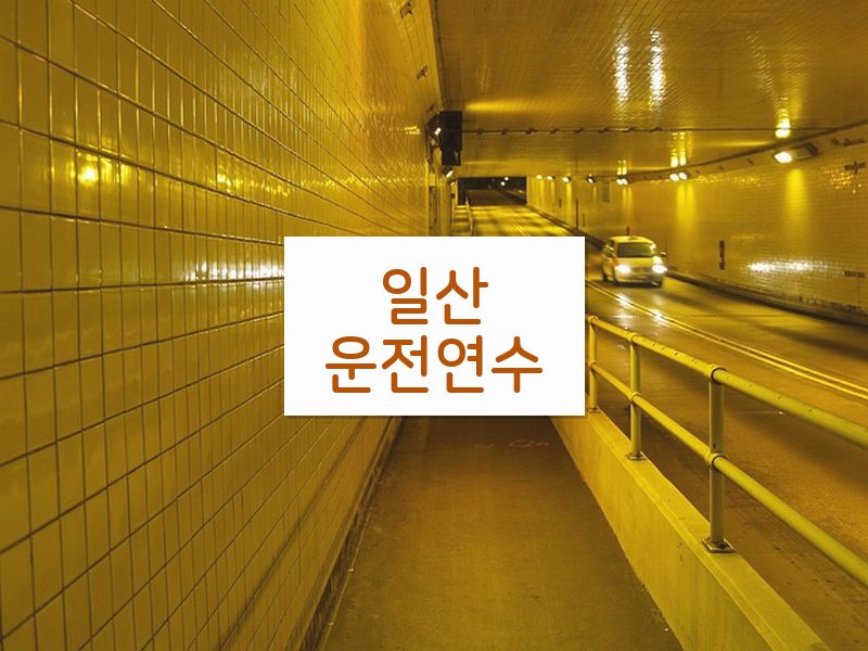 일산운전연수 후기