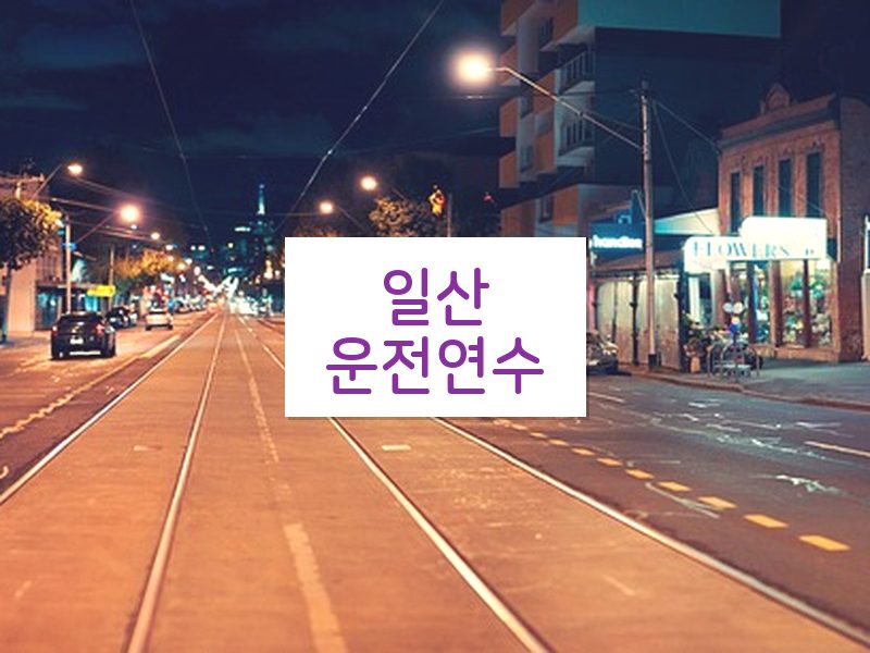 일산운전연수 후기